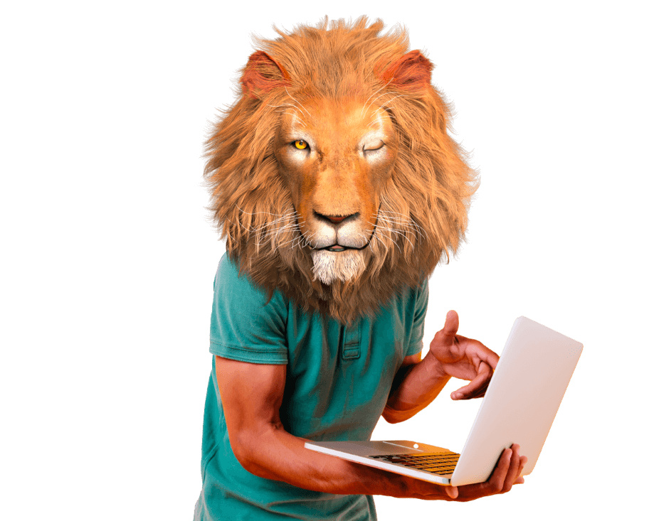 Développement Web : logiciels, bases de données, logiciels métiers