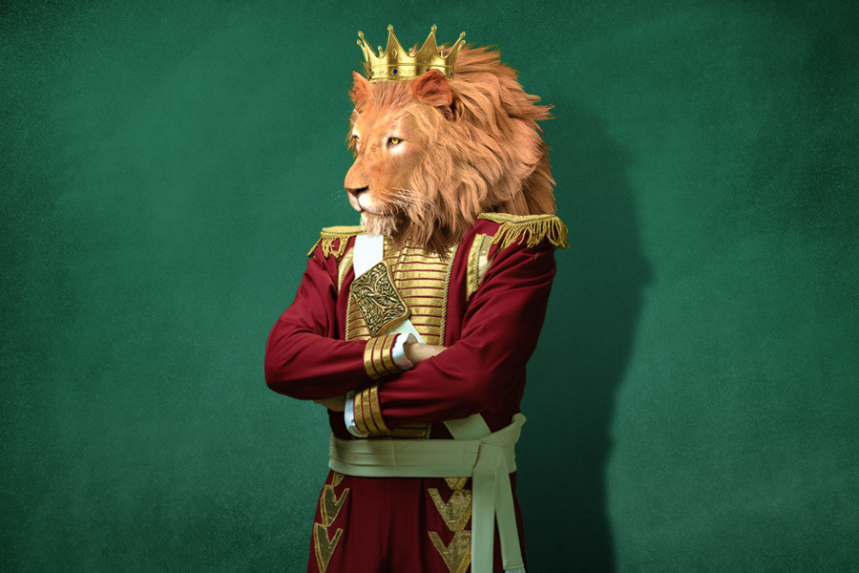 Nouveau site Newlions agence digitale ile de la réunion