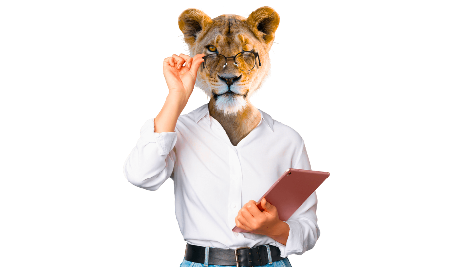 Social Média Management : 15 ans d'expertises