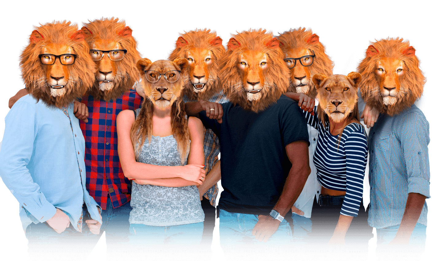 Newlions family