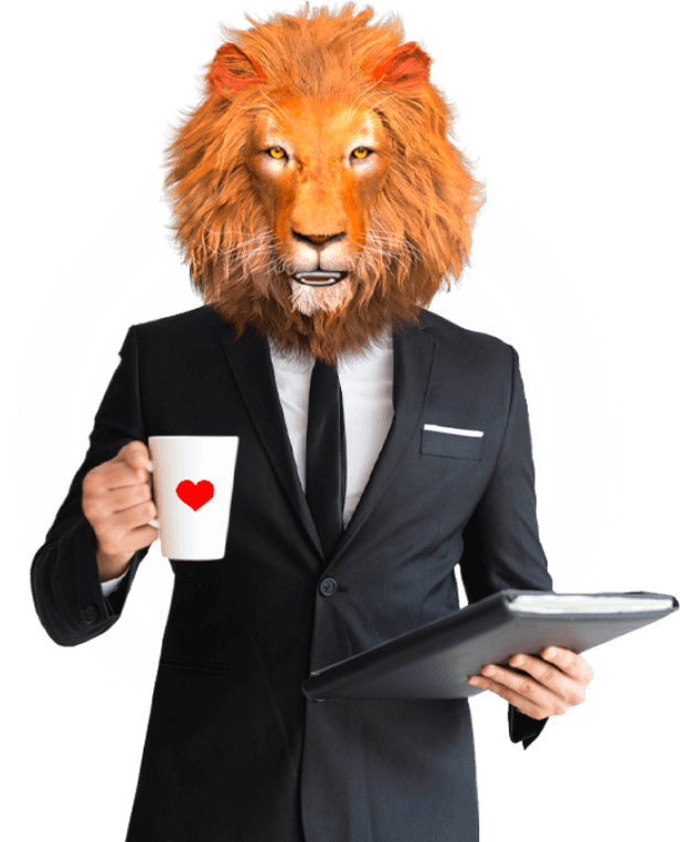 Notre agence Newlions