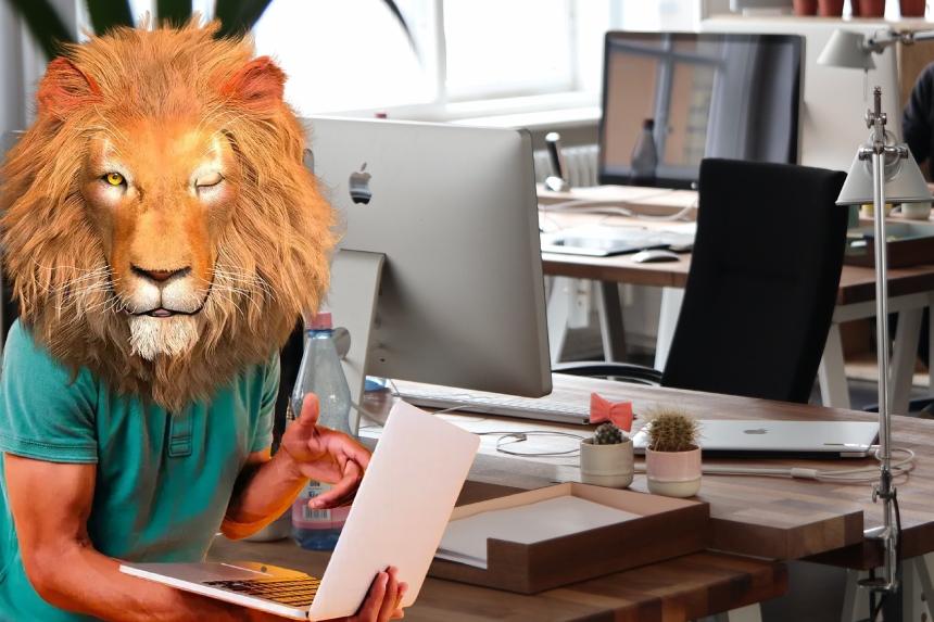 ecommerce à la reunion