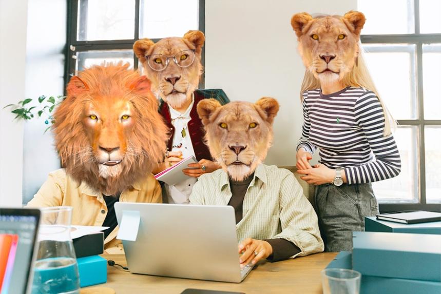 Agence web à la reunion