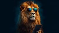 resausociaux2025