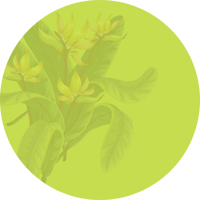 Rhum Charrette, une marque embl&eacute;matique de La R&eacute;union