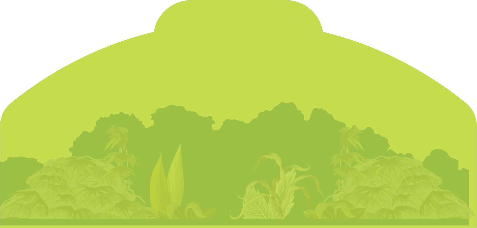 Rhum Charrette, une marque embl&eacute;matique de La R&eacute;union